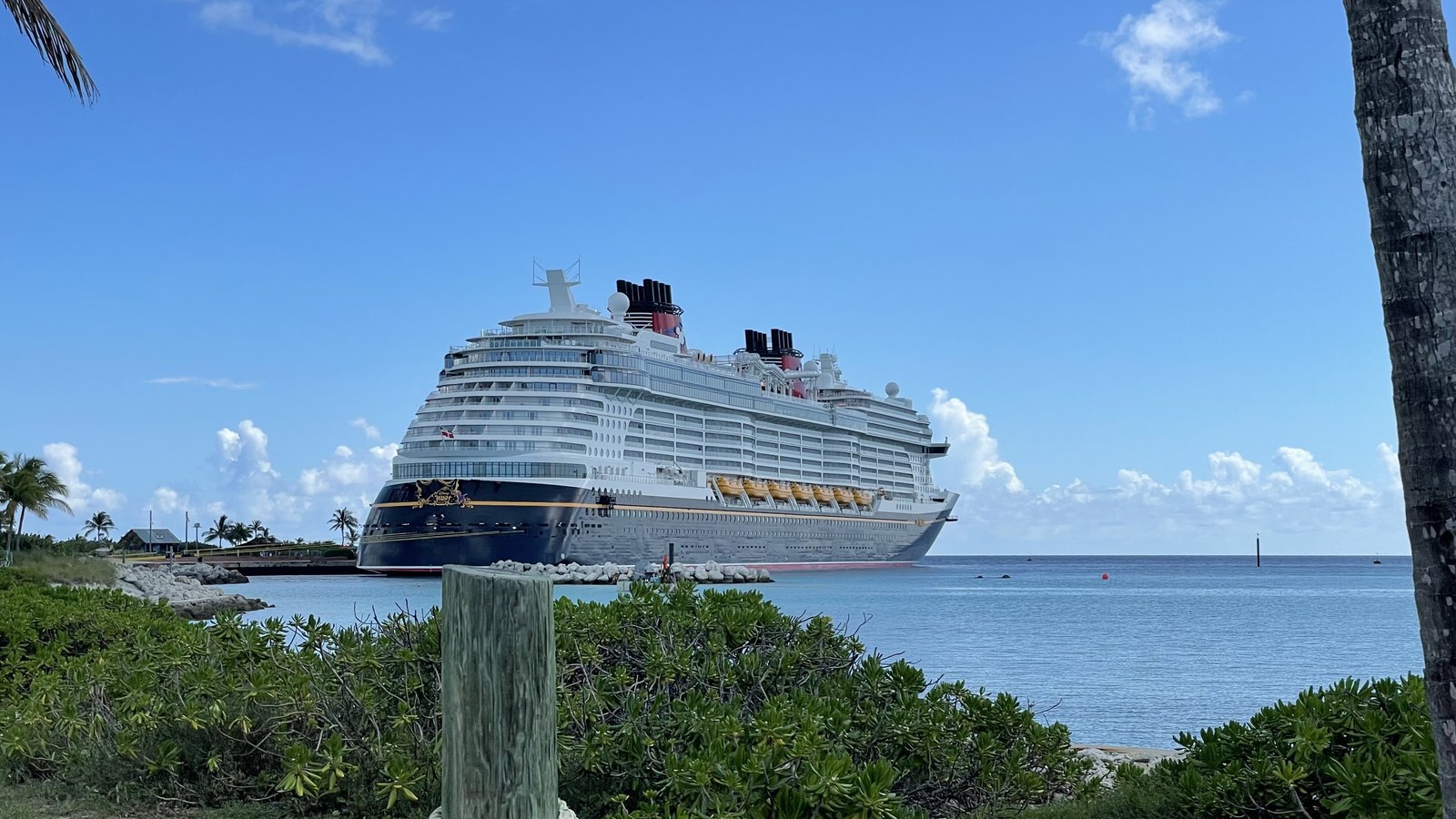 The Disney Wish moored at Castaway Cay, seen from the island through the sea grape and palms